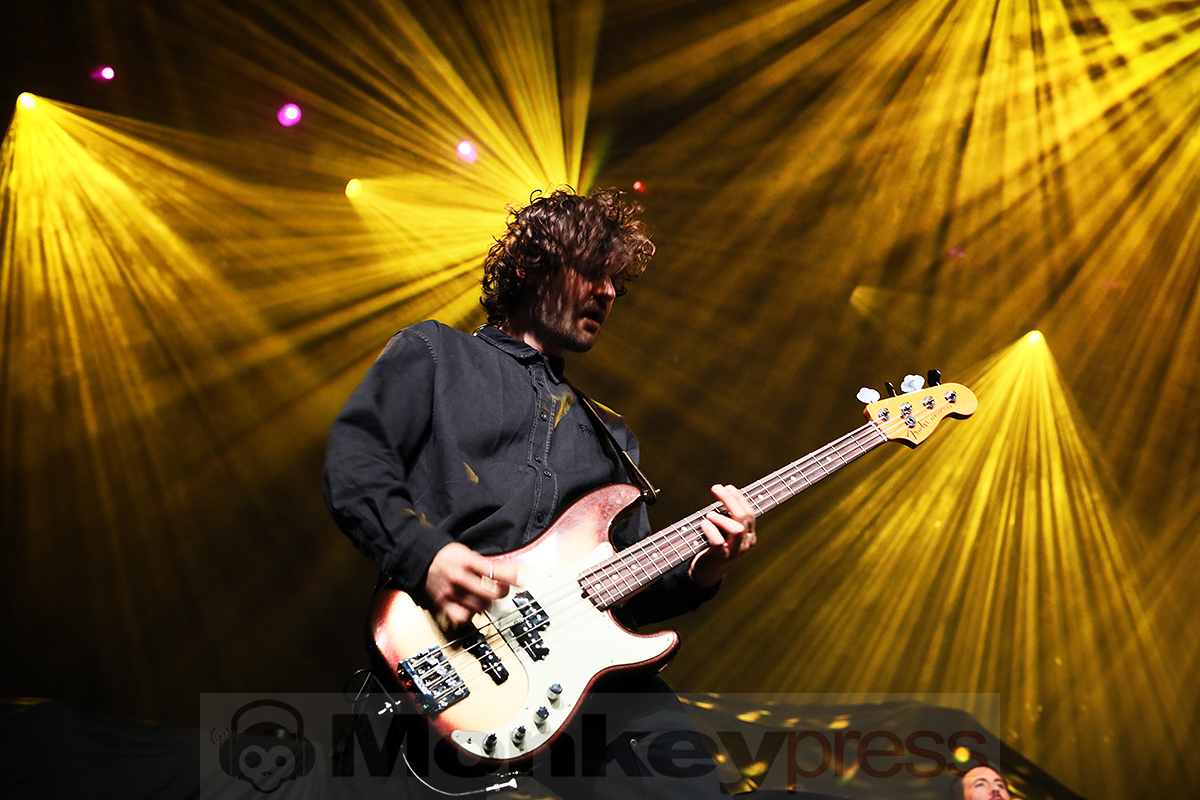 Tigress © Sandro Griesbach