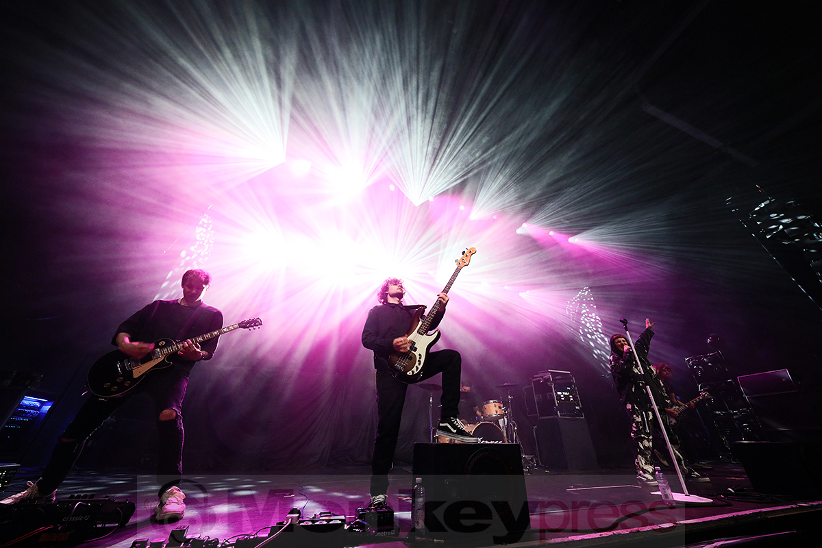 Tigress © Sandro Griesbach