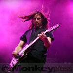 Fotos: TIGRESS