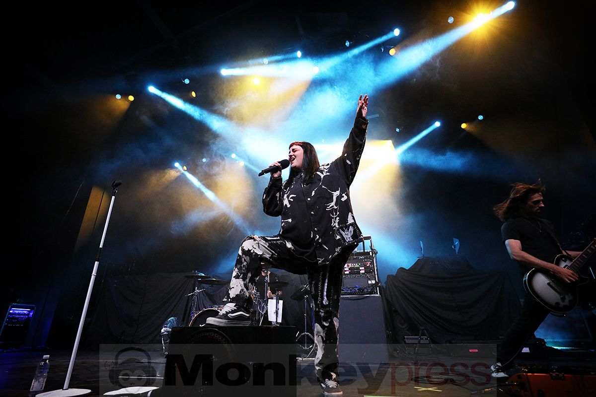 Tigress © Sandro Griesbach