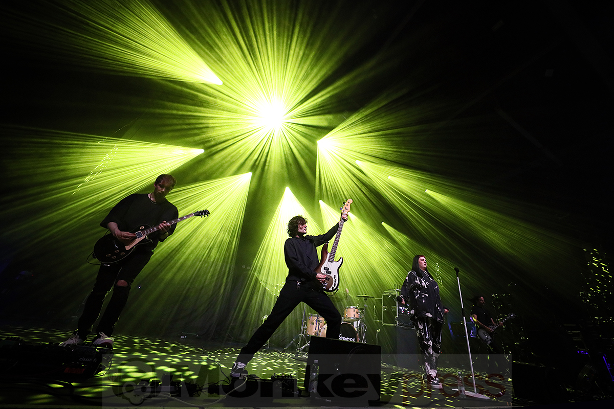 Tigress © Sandro Griesbach