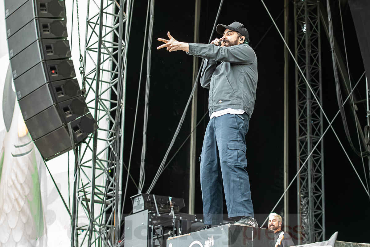 ZEBRAHEAD, © Joerg Seiche