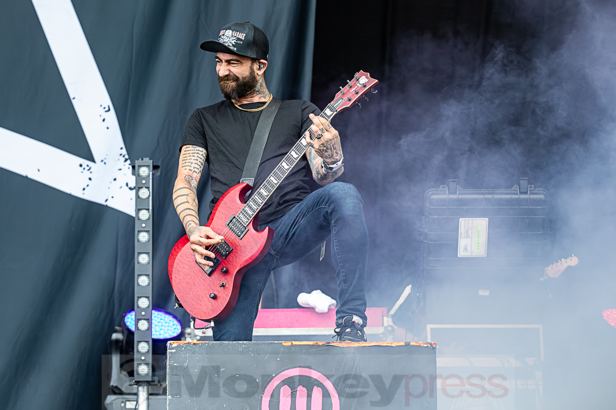 ZEBRAHEAD, © Joerg Seiche