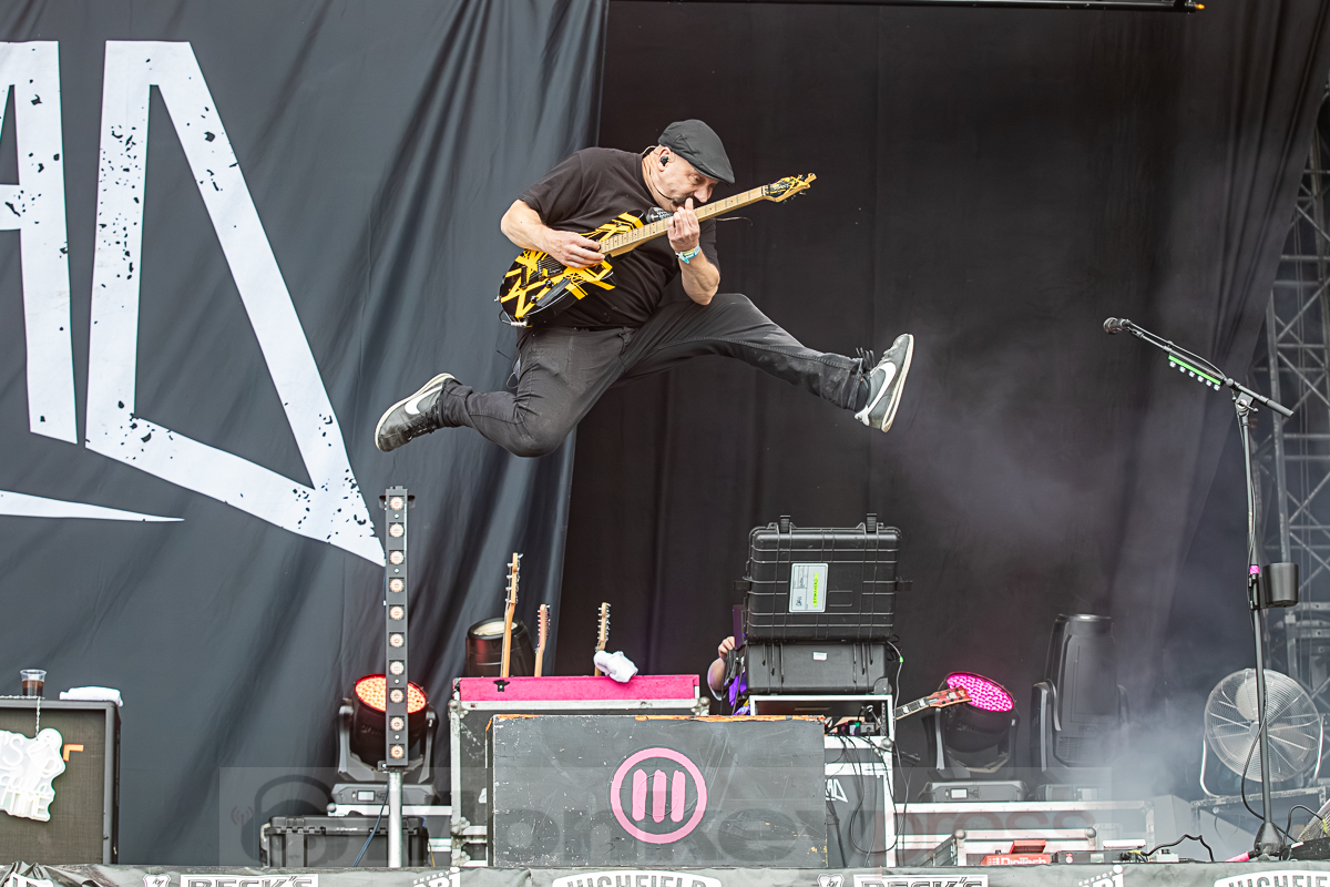 ZEBRAHEAD, © Joerg Seiche