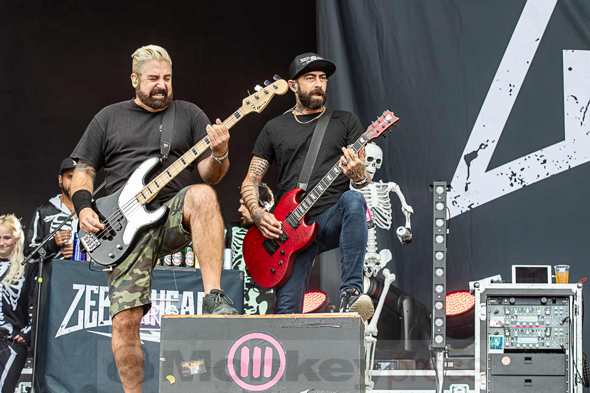 ZEBRAHEAD, © Joerg Seiche