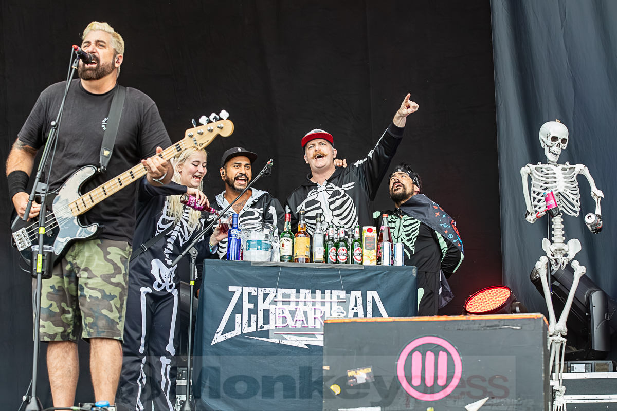 ZEBRAHEAD, © Joerg Seiche