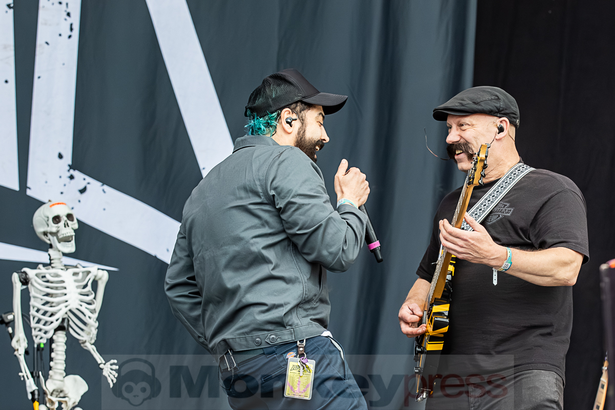 ZEBRAHEAD, © Joerg Seiche