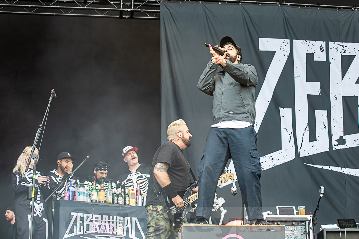 ZEBRAHEAD, © Joerg Seiche