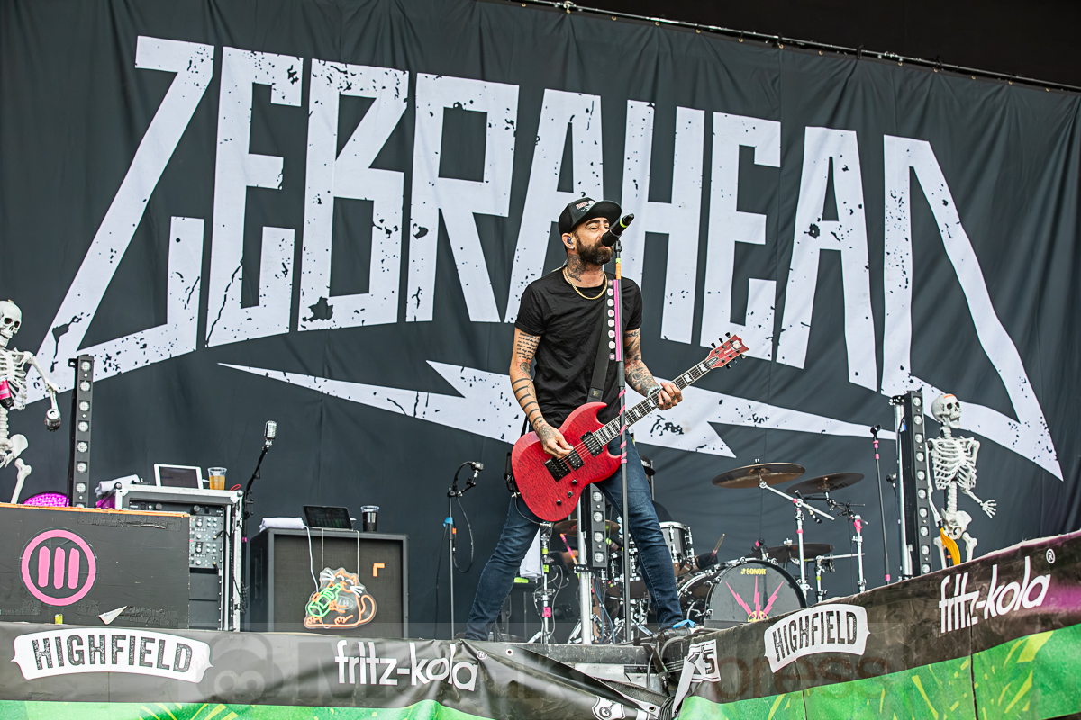 ZEBRAHEAD, © Joerg Seiche