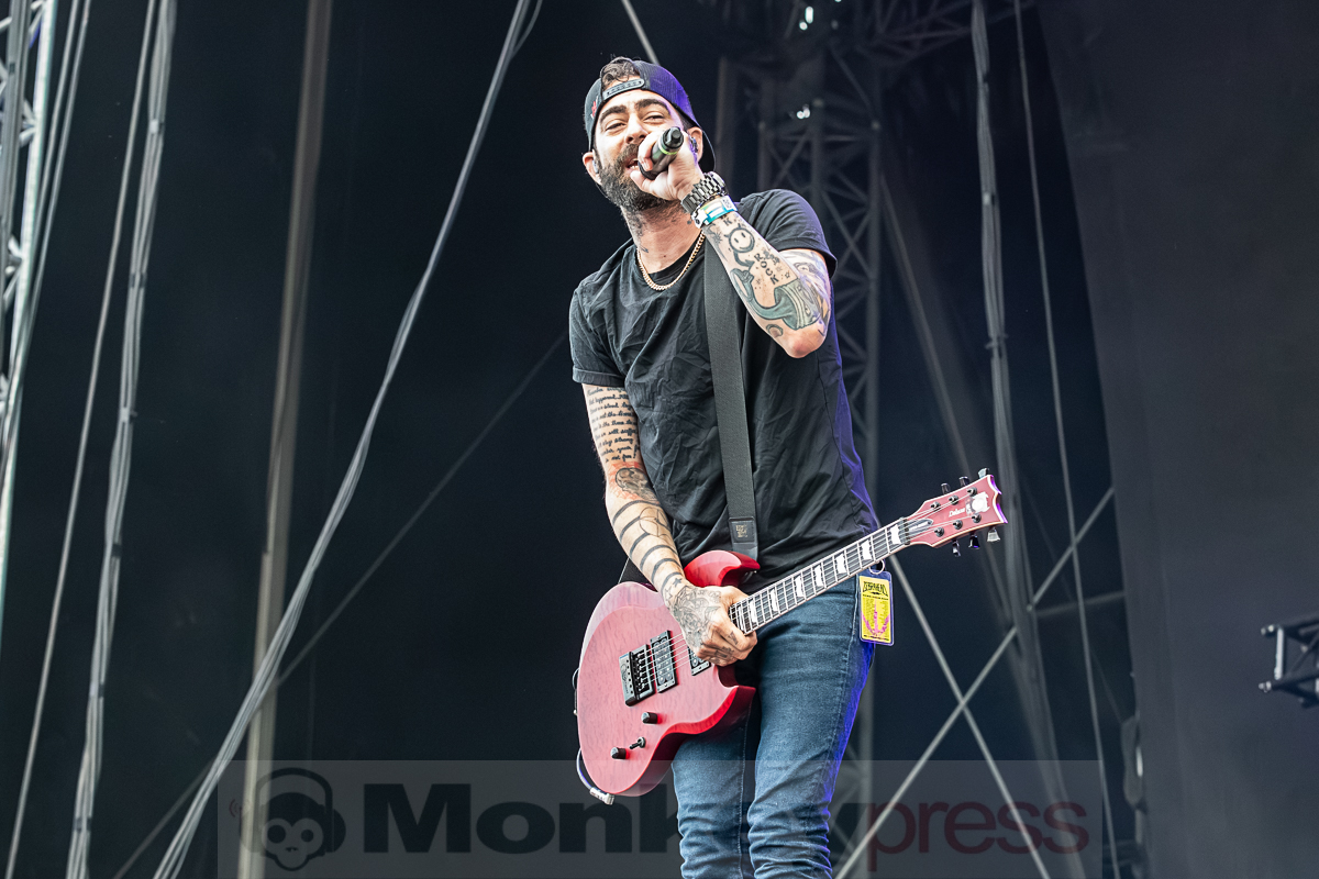 ZEBRAHEAD, © Joerg Seiche