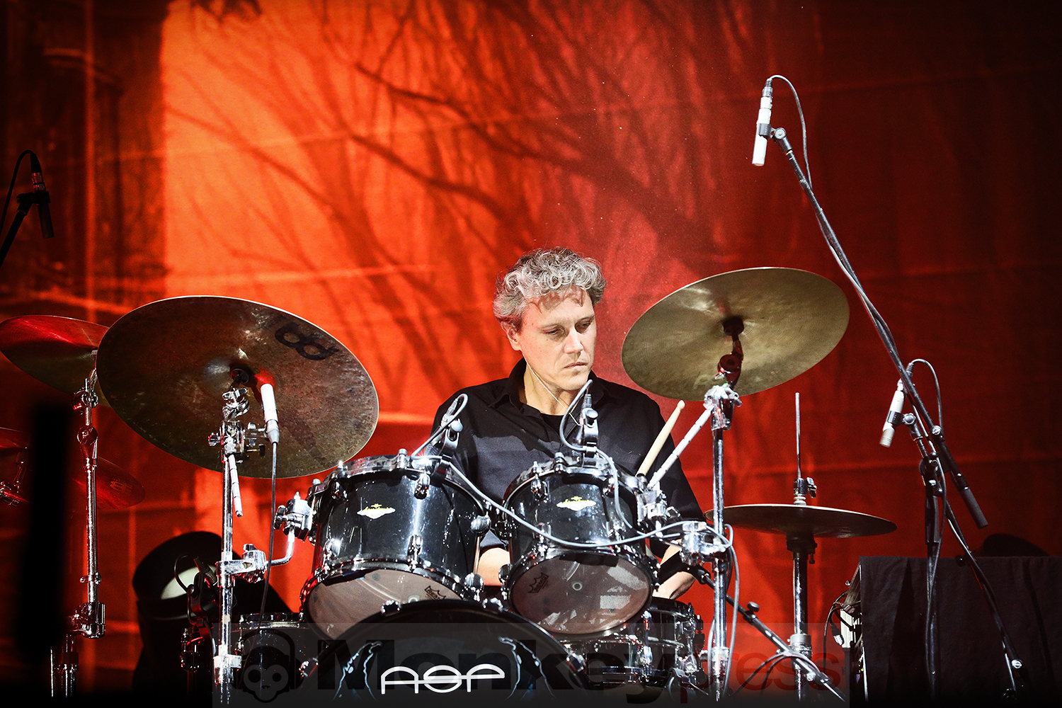 ASP @Summer Breeze 2025 © Sandro Griesbach