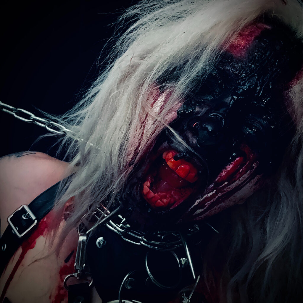 Zwischen Schatten und Selbstermächtigung: AUX ANIMAUX veröffentlicht neue Single „Demonizer“ feat. Dancing Plague