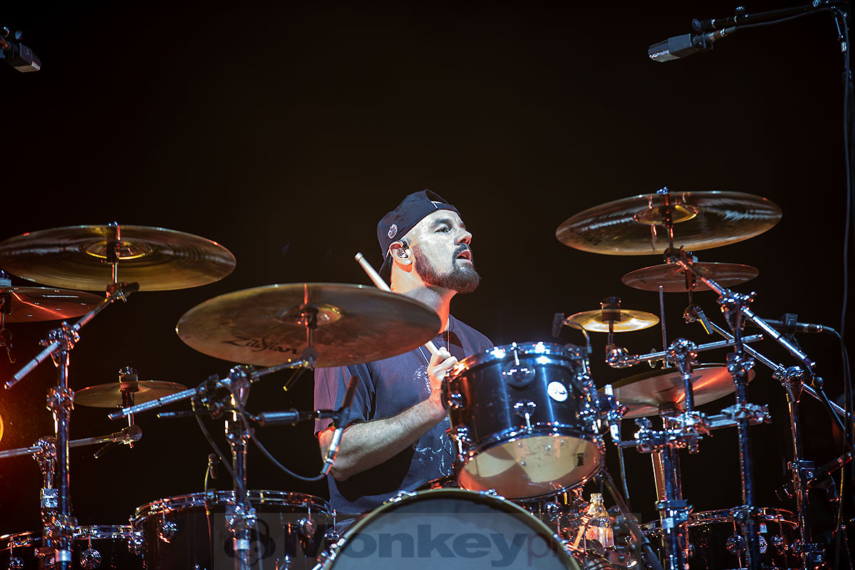 BUSH, ©Marcus Nathofer