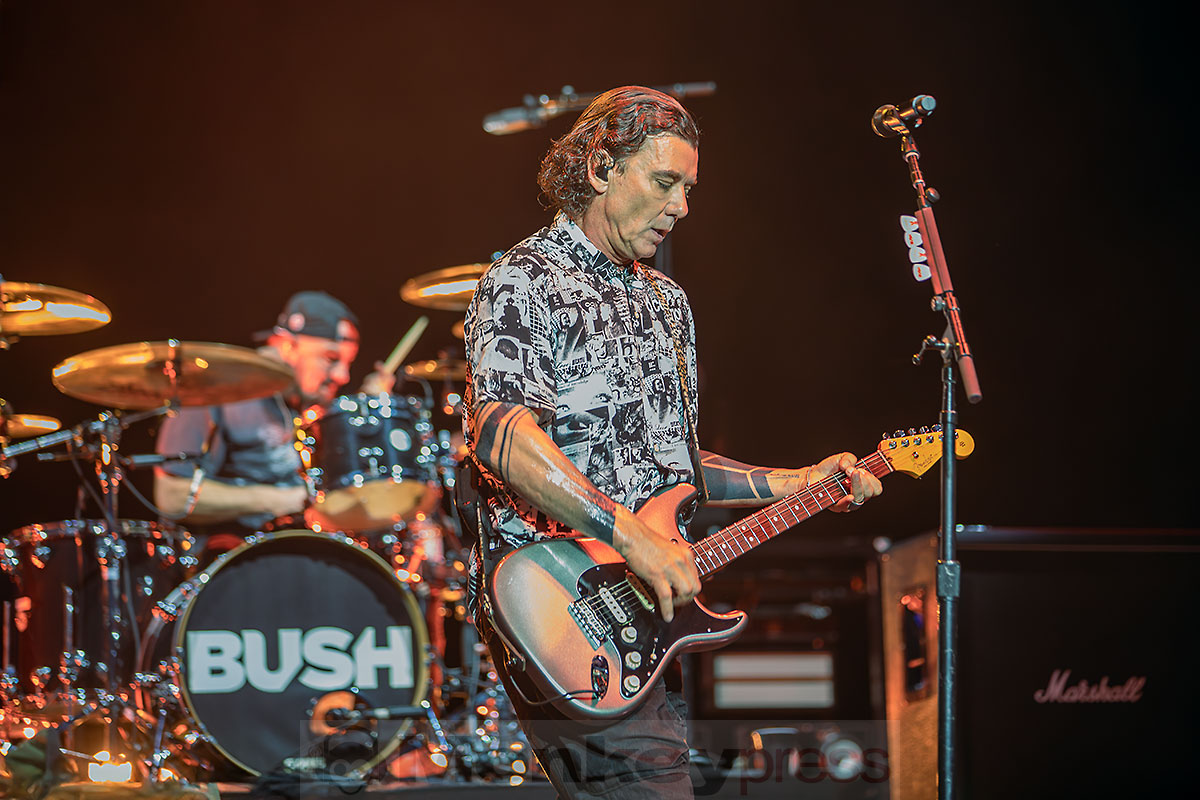 BUSH, ©Marcus Nathofer