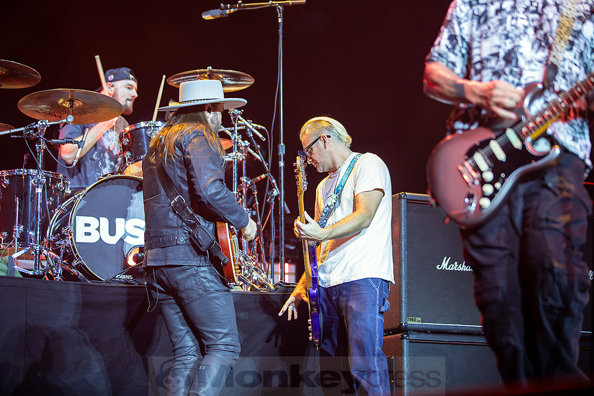 BUSH, ©Marcus Nathofer