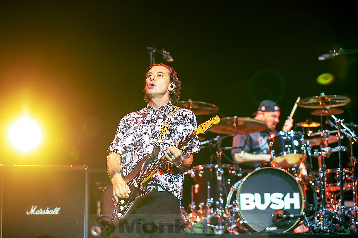 BUSH, ©Marcus Nathofer