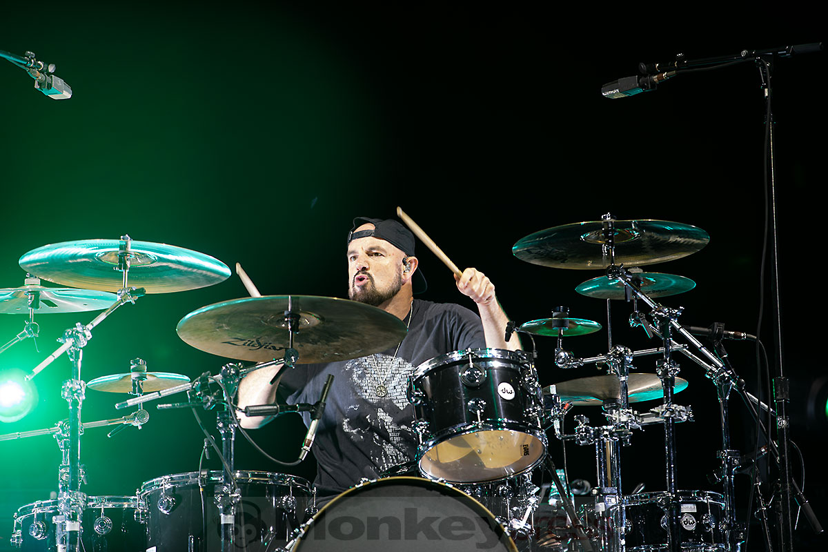 BUSH, ©Marcus Nathofer