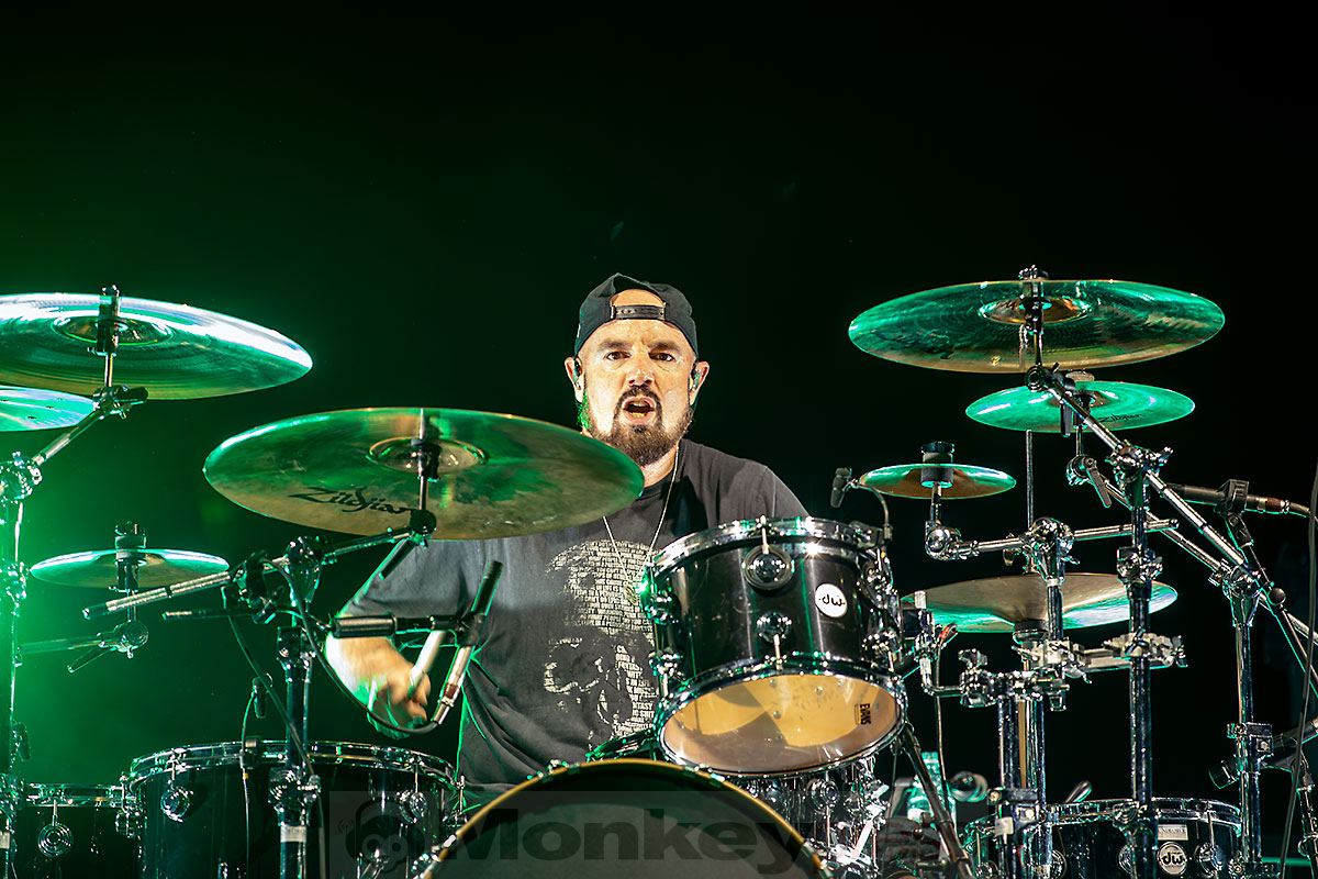 BUSH, ©Marcus Nathofer