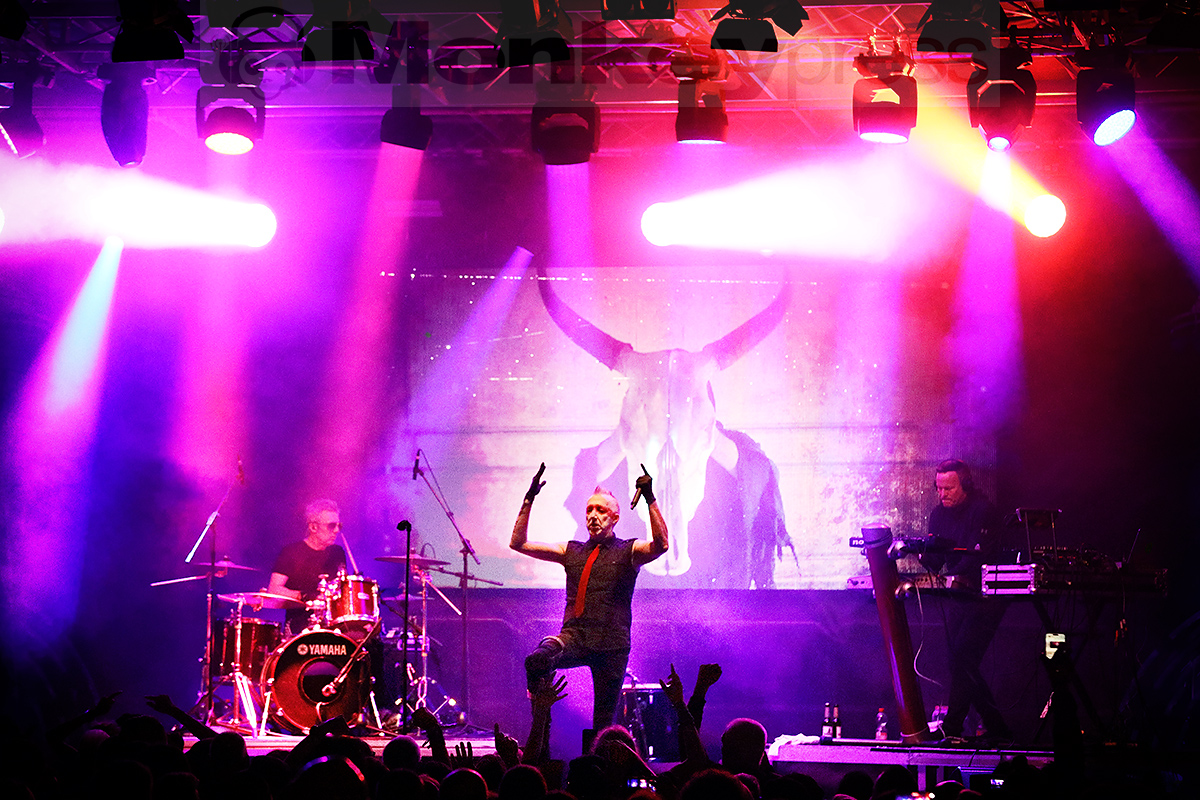 Fotos: NCN Festival 2025 (18. Nocturnal Culture Night) – Samstag (06.09.2025)