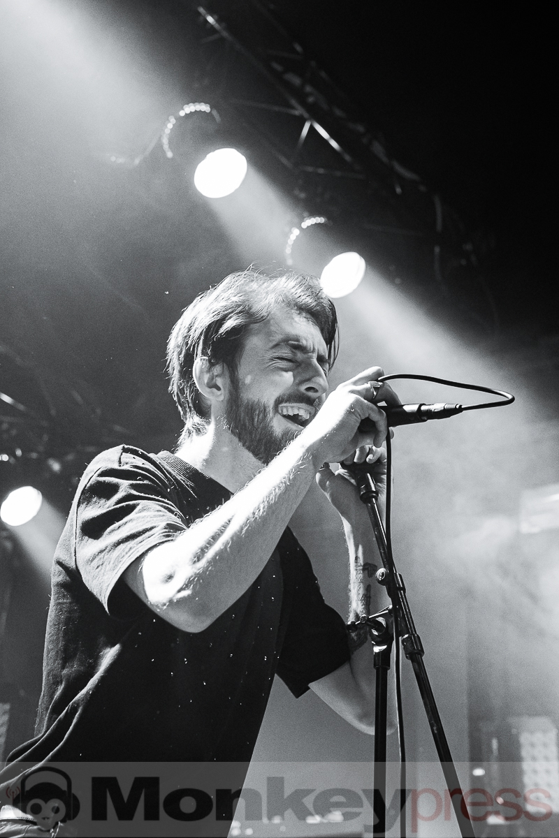 Auger, © Christine Heinrich