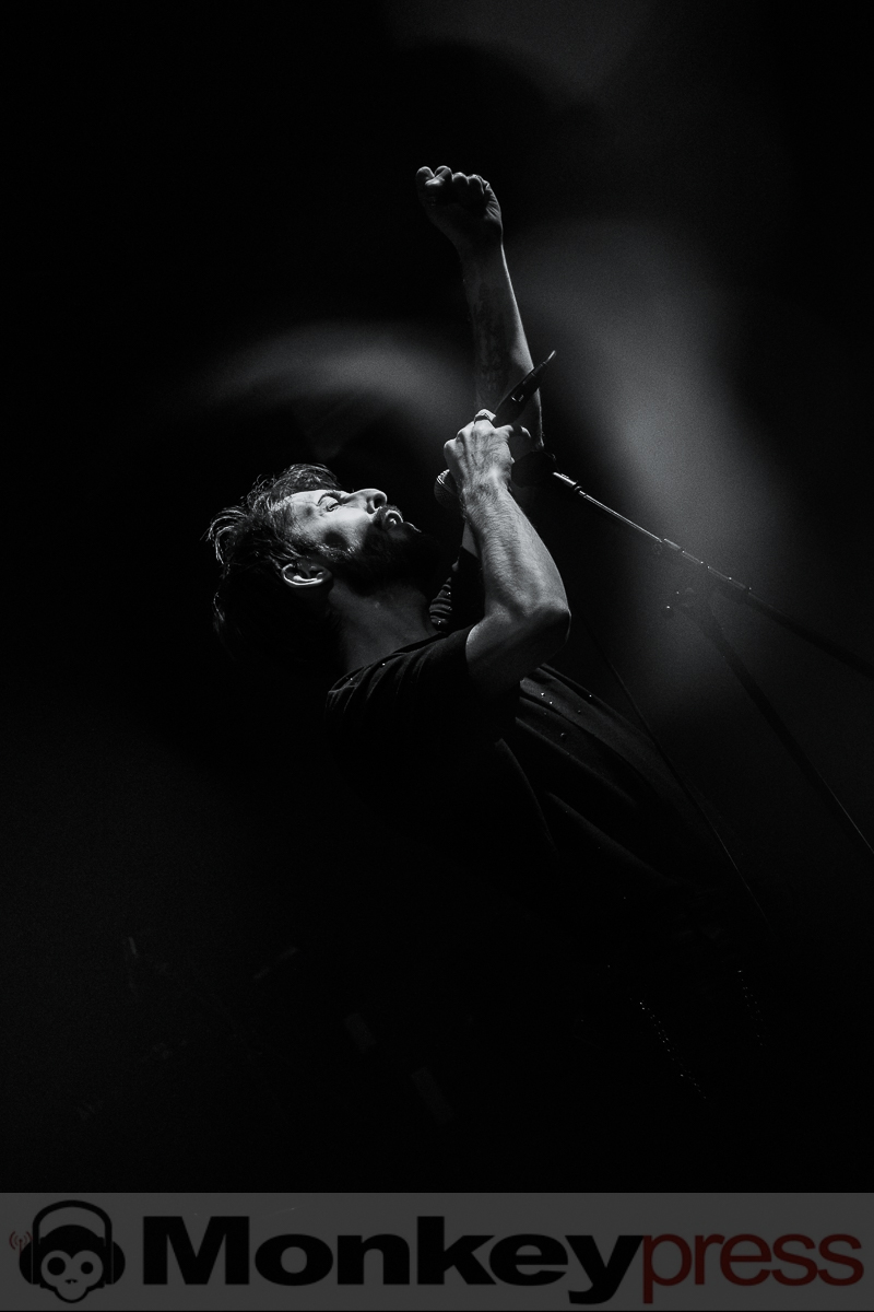 Auger, © Christine Heinrich