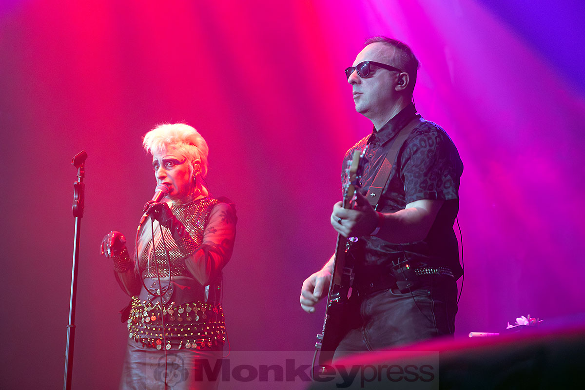 SELOFAN, (c) Marcus Nathofer