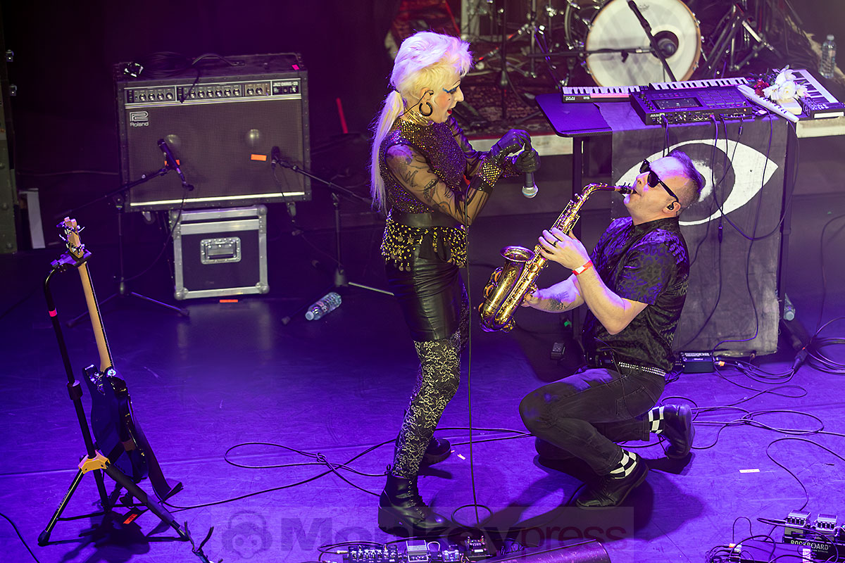 SELOFAN, (c) Marcus Nathofer