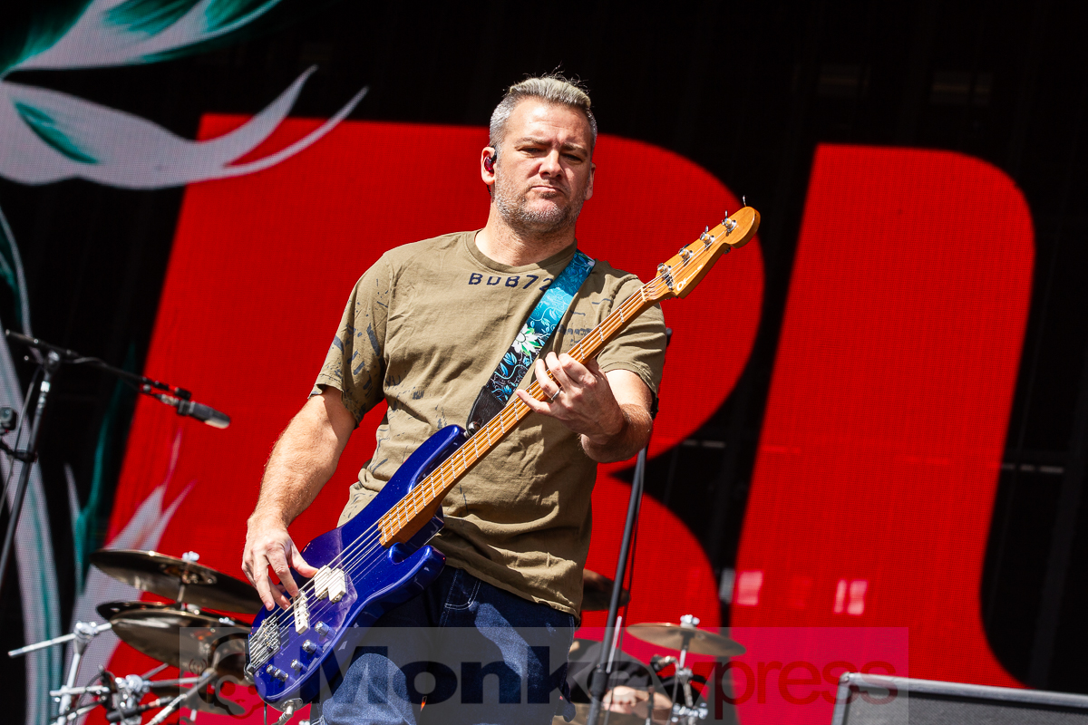Bush, © Markus Hillgärtner
