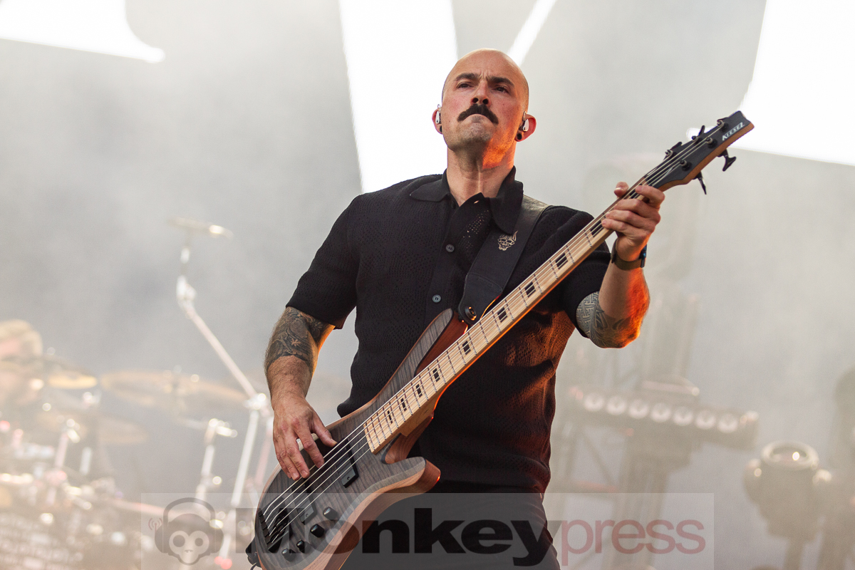 Trivium, © Markus Hillgärtner