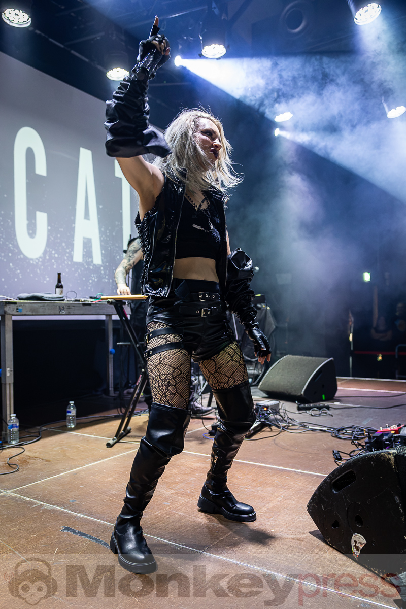 2DCAT, © Michael Gamon