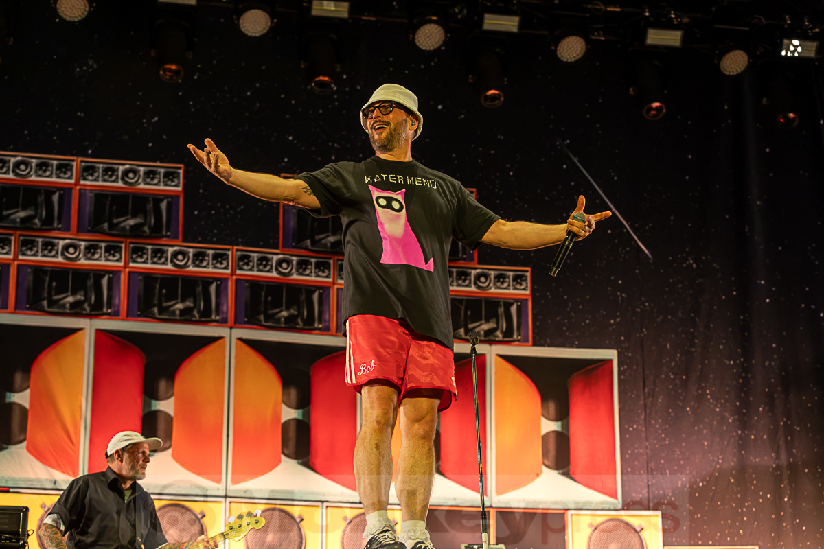 BEATSTEAKS, © Joerg Seiche